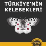 Türkiye’nin Kelebekleri, metinlerinden görsel malzemesine dek özgün içeriğiyle, doğaya ve kelebekler...